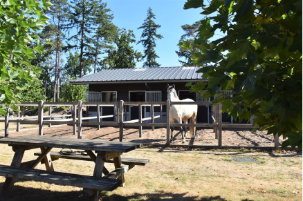 Manege bij Camping Samoza in het bos op de Veluwe VMP090